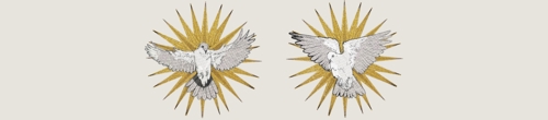 copyright Andy Singleton doves 1360x300.jpg