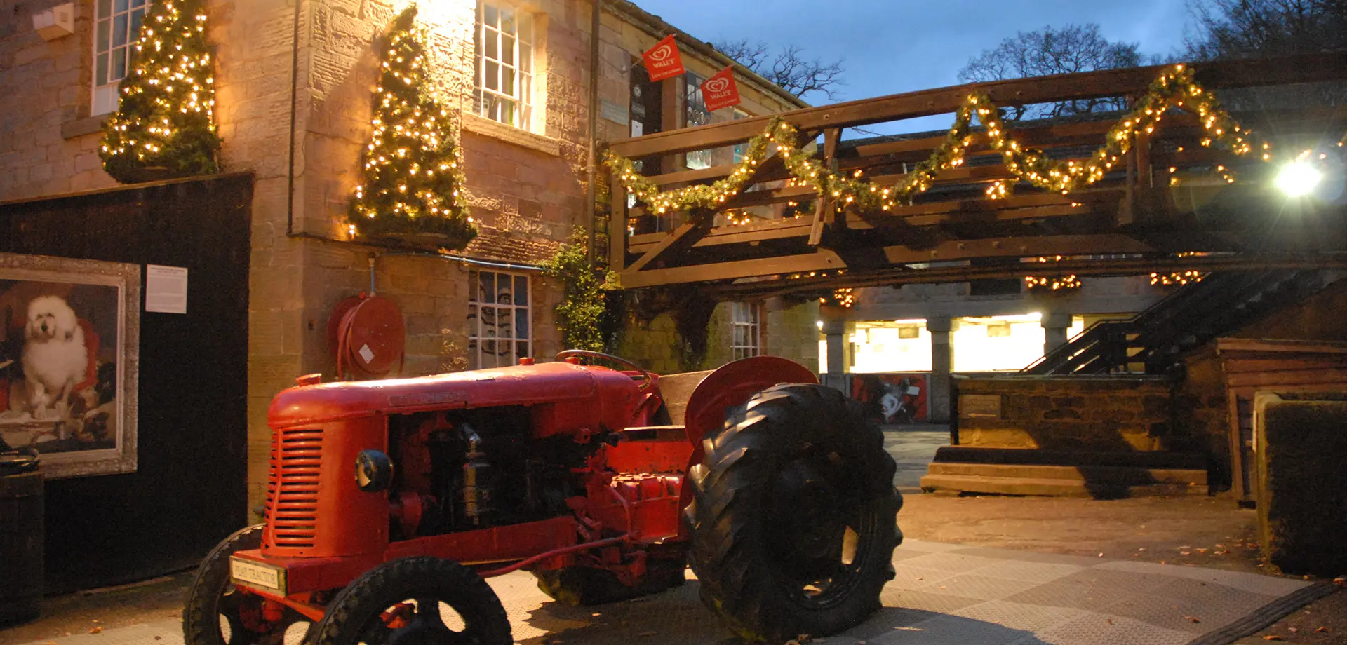 Farmyard Christmas Experience