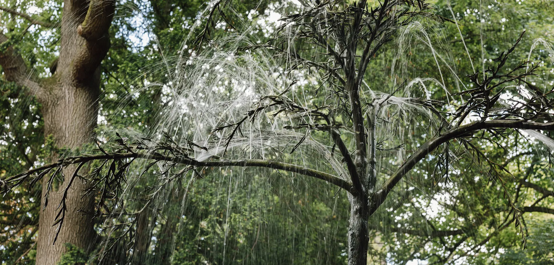 Willow Tree Fountain